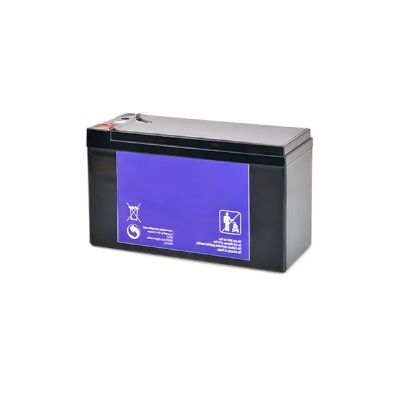 [BT-980N] Batterie pour portique PS-980