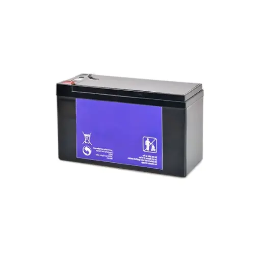 [BT-980N] Batteries pour portique PS-980N